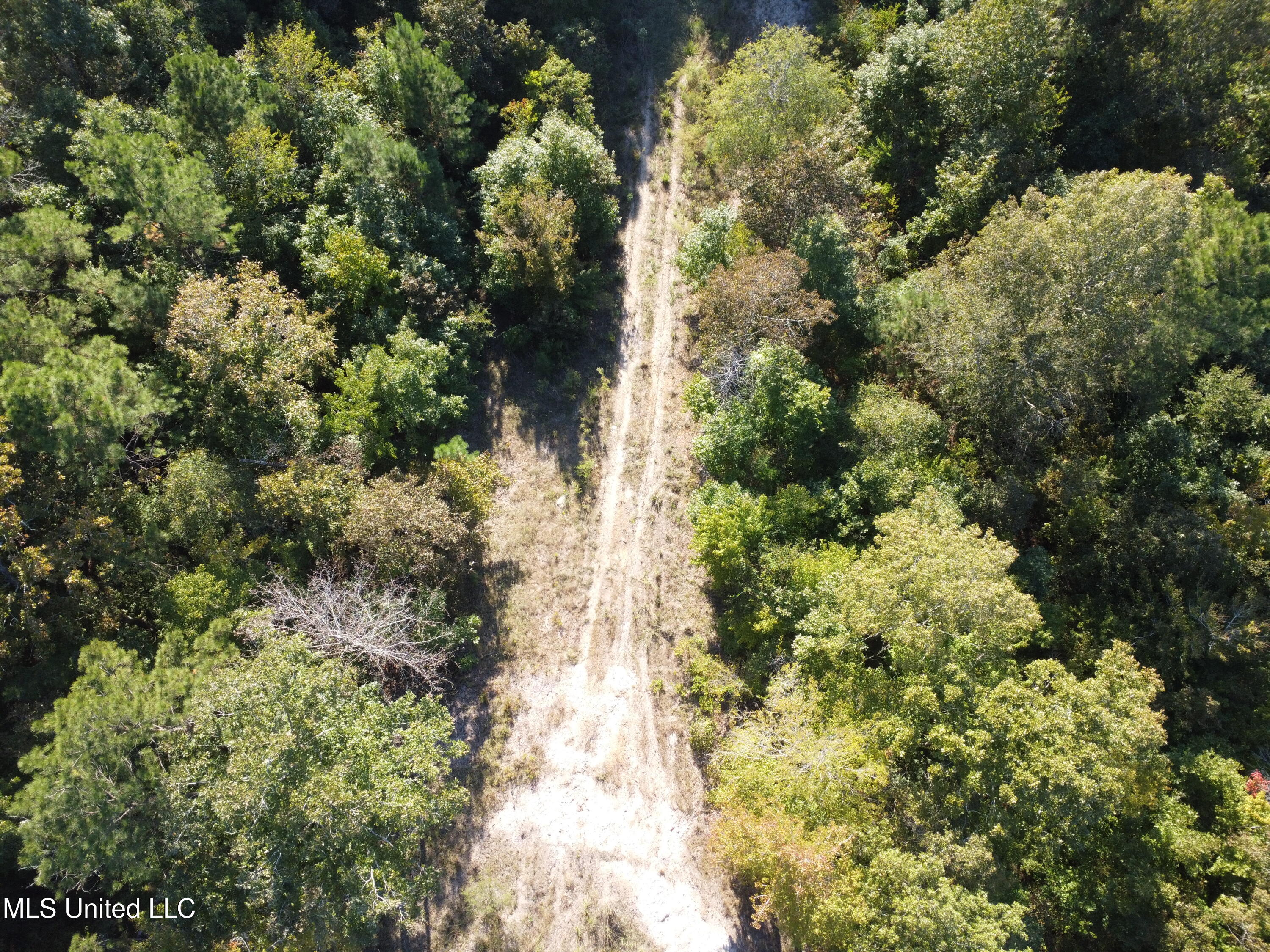 214 Cannady Road Property Photo 14