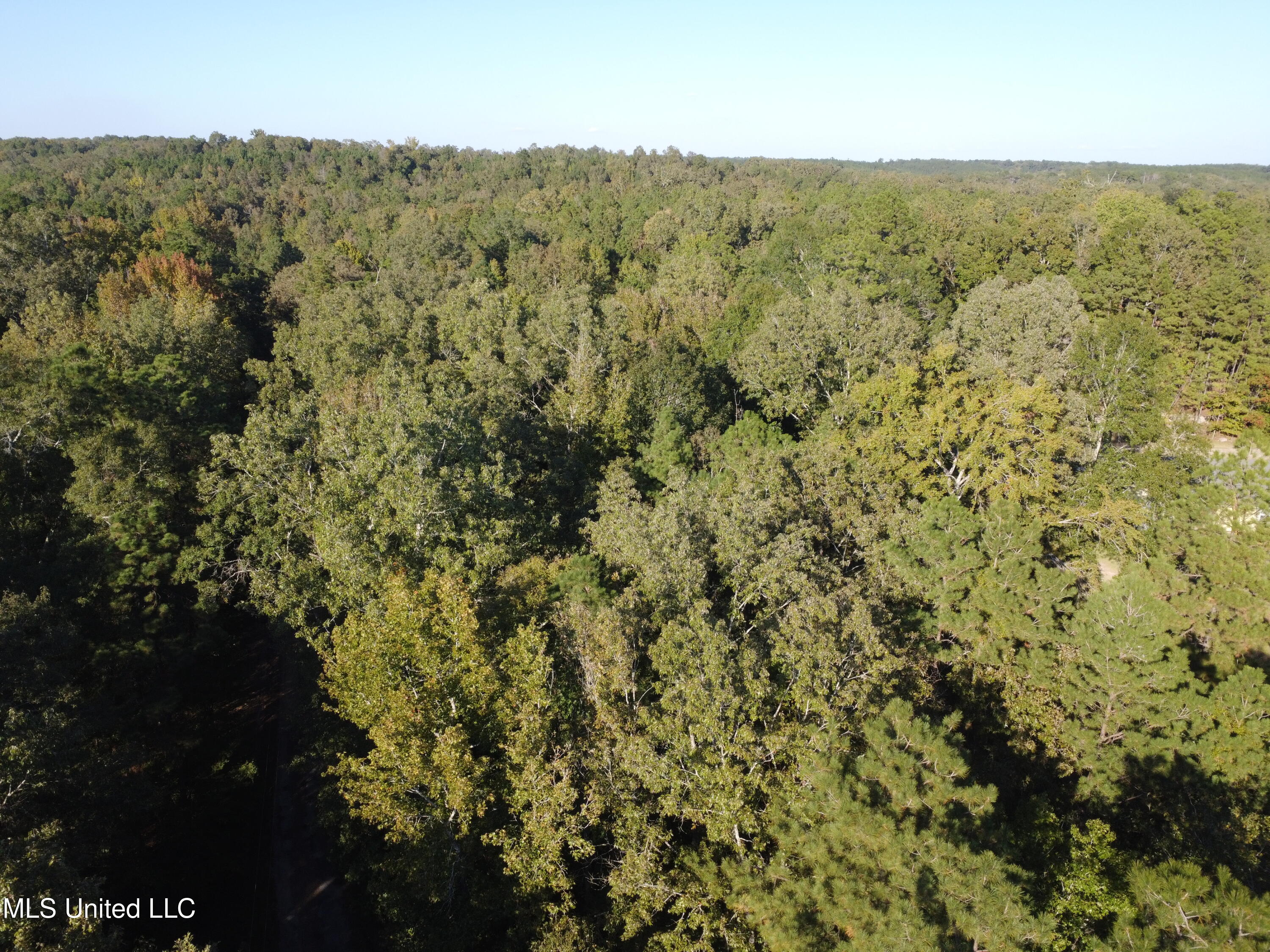 214 Cannady Road Property Photo 16