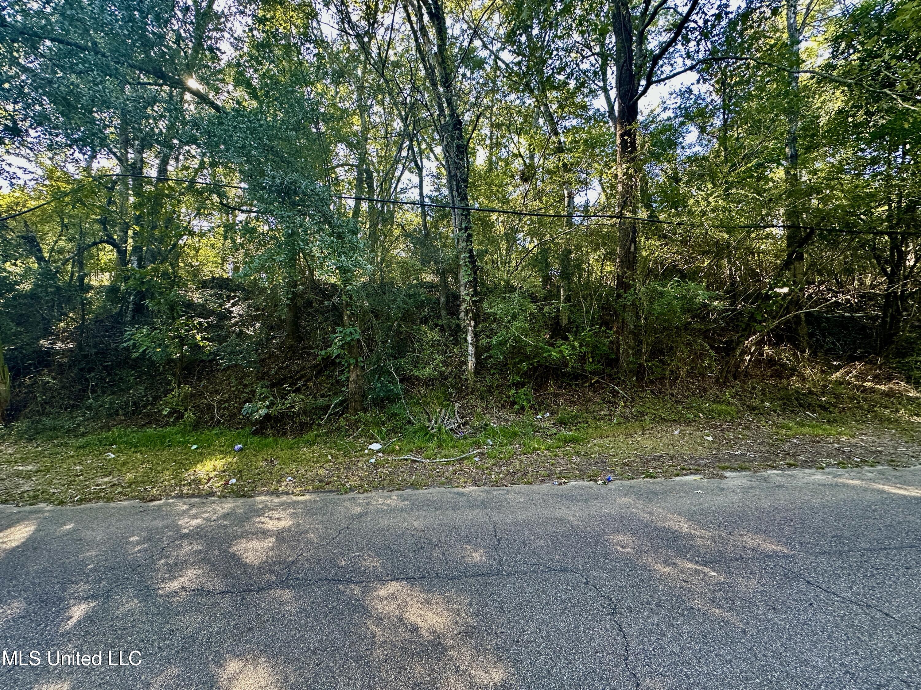 0 Vernon Road Property Photo 1