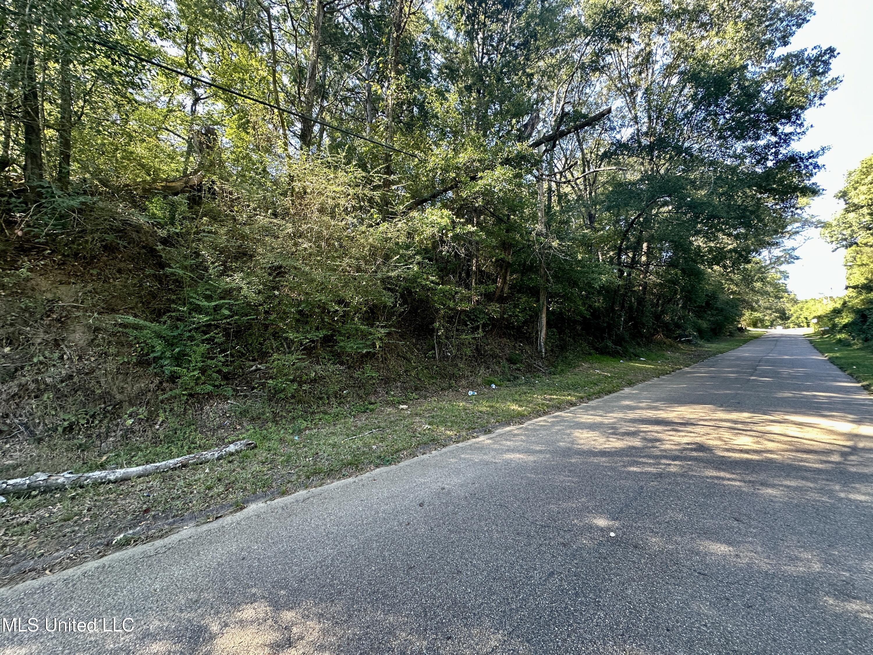 0 Vernon Road Property Photo 2