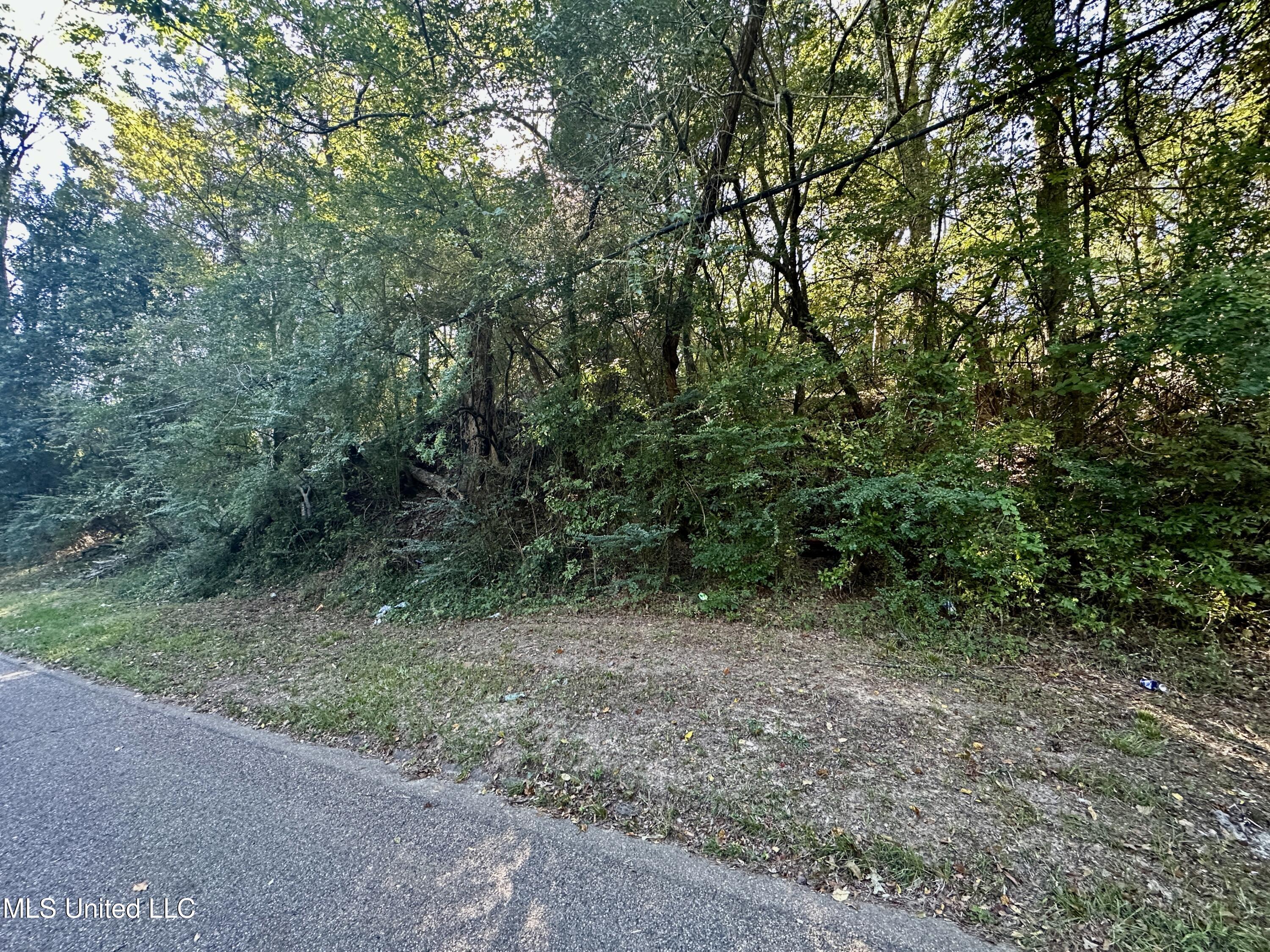 0 Vernon Road Property Photo 3