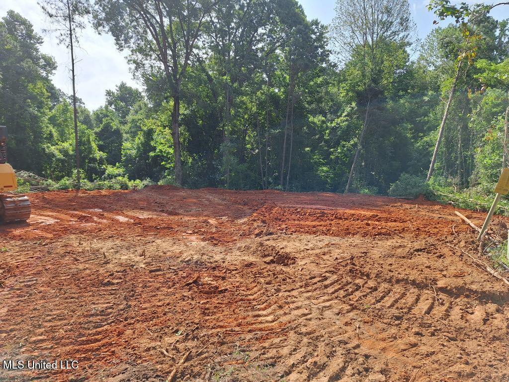 1063 Dry Creek Road Property Photo 2