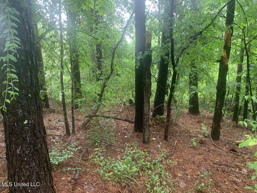 1063 Dry Creek Road Property Photo 4