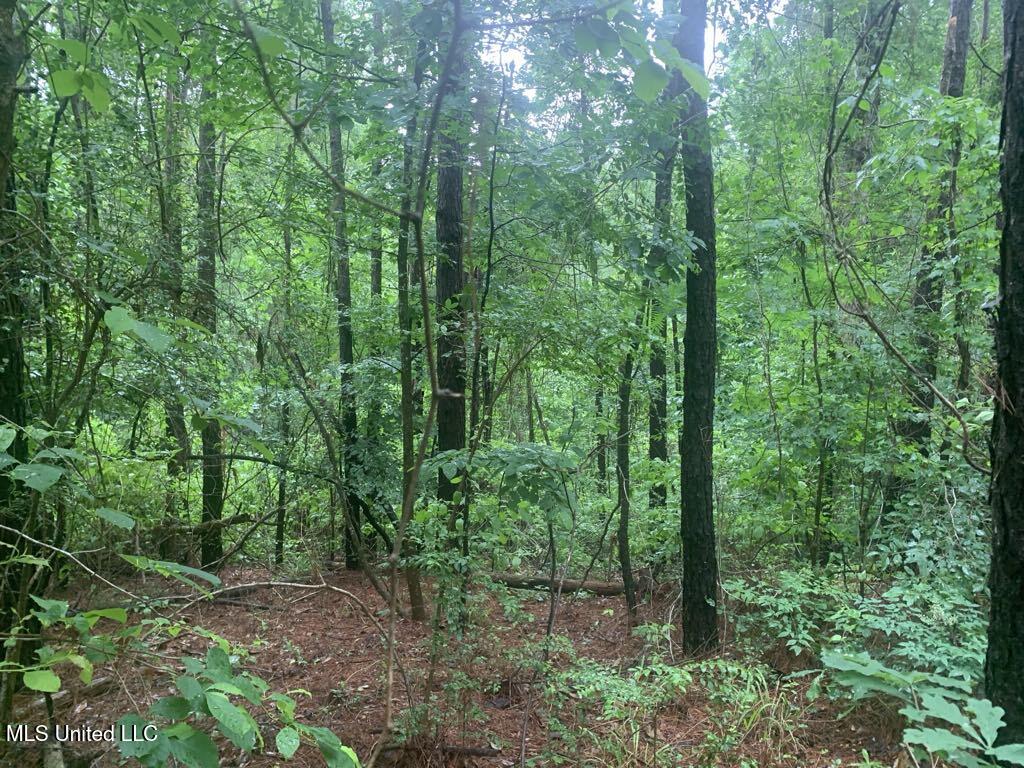 1063 Dry Creek Road Property Photo 6