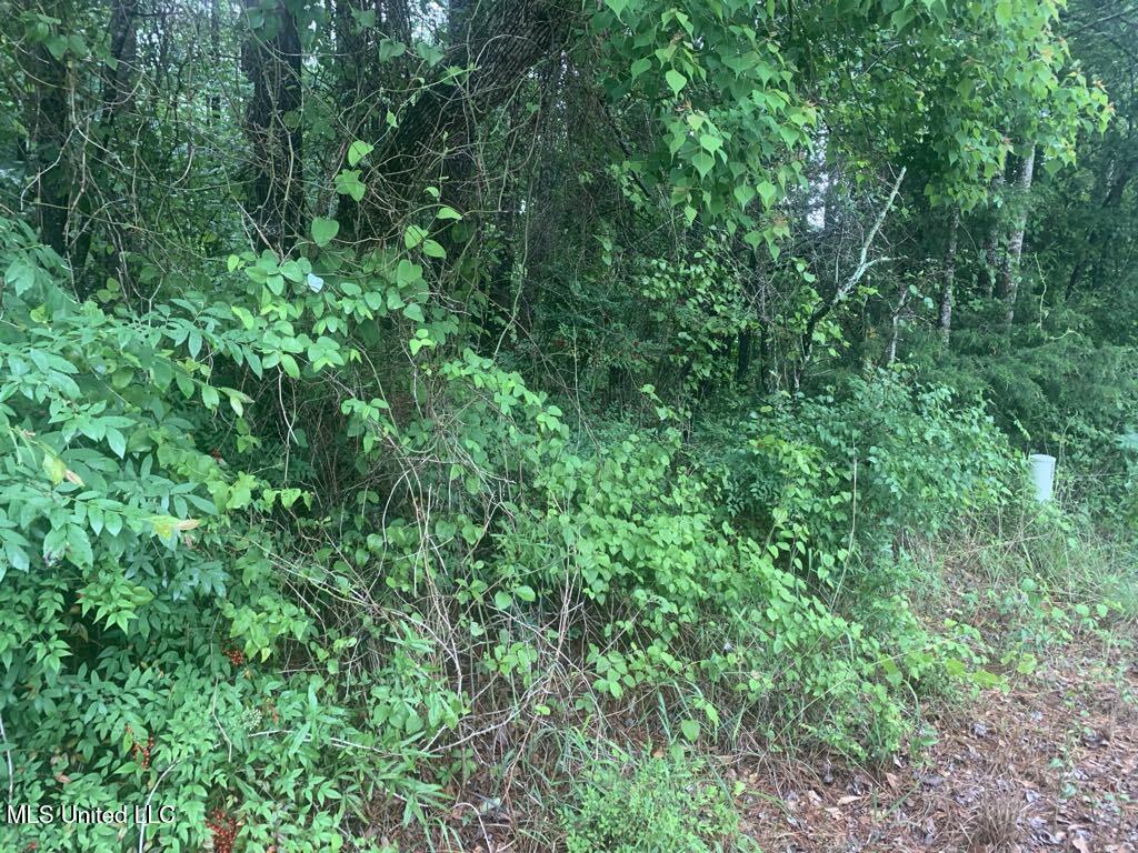 1063 Dry Creek Road Property Photo 7