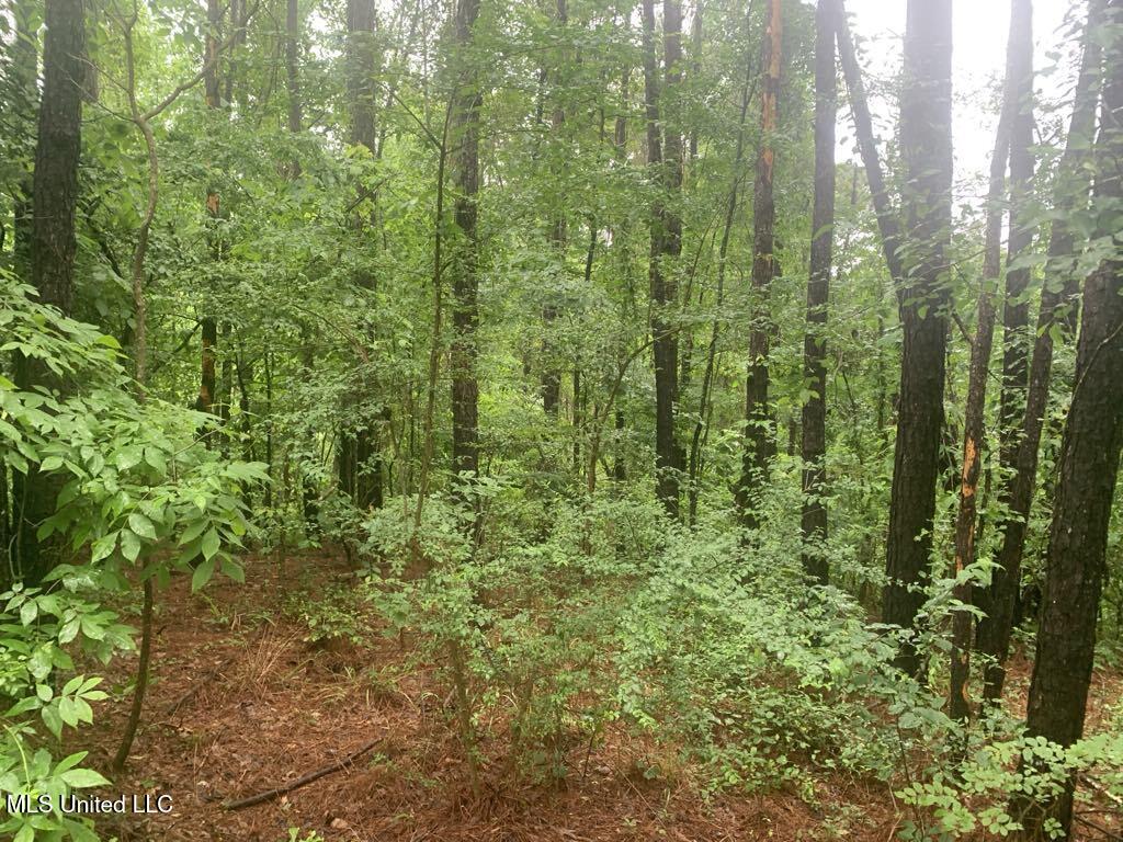 1063 Dry Creek Road Property Photo 9