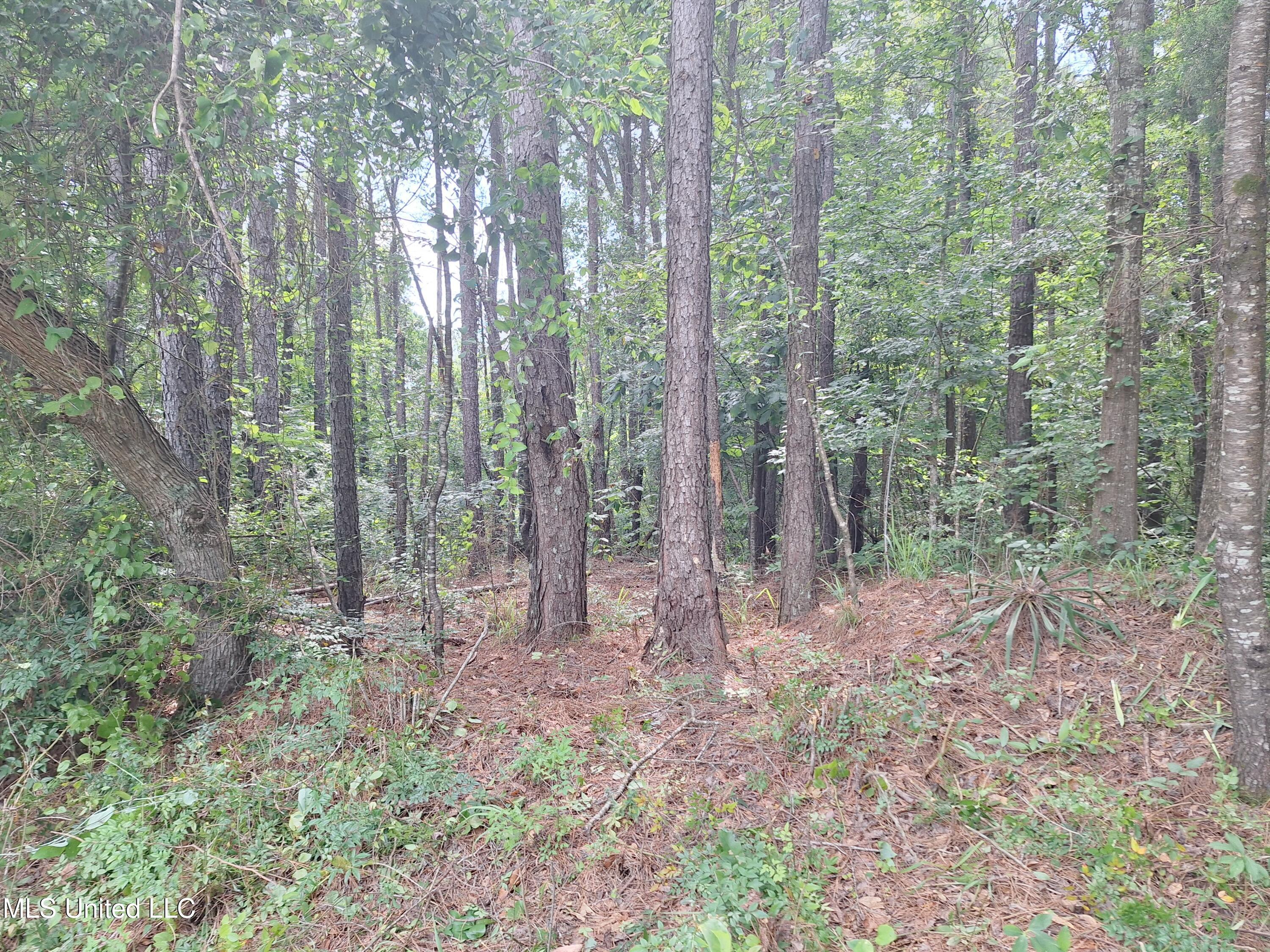 1063 Dry Creek Road Property Photo 15