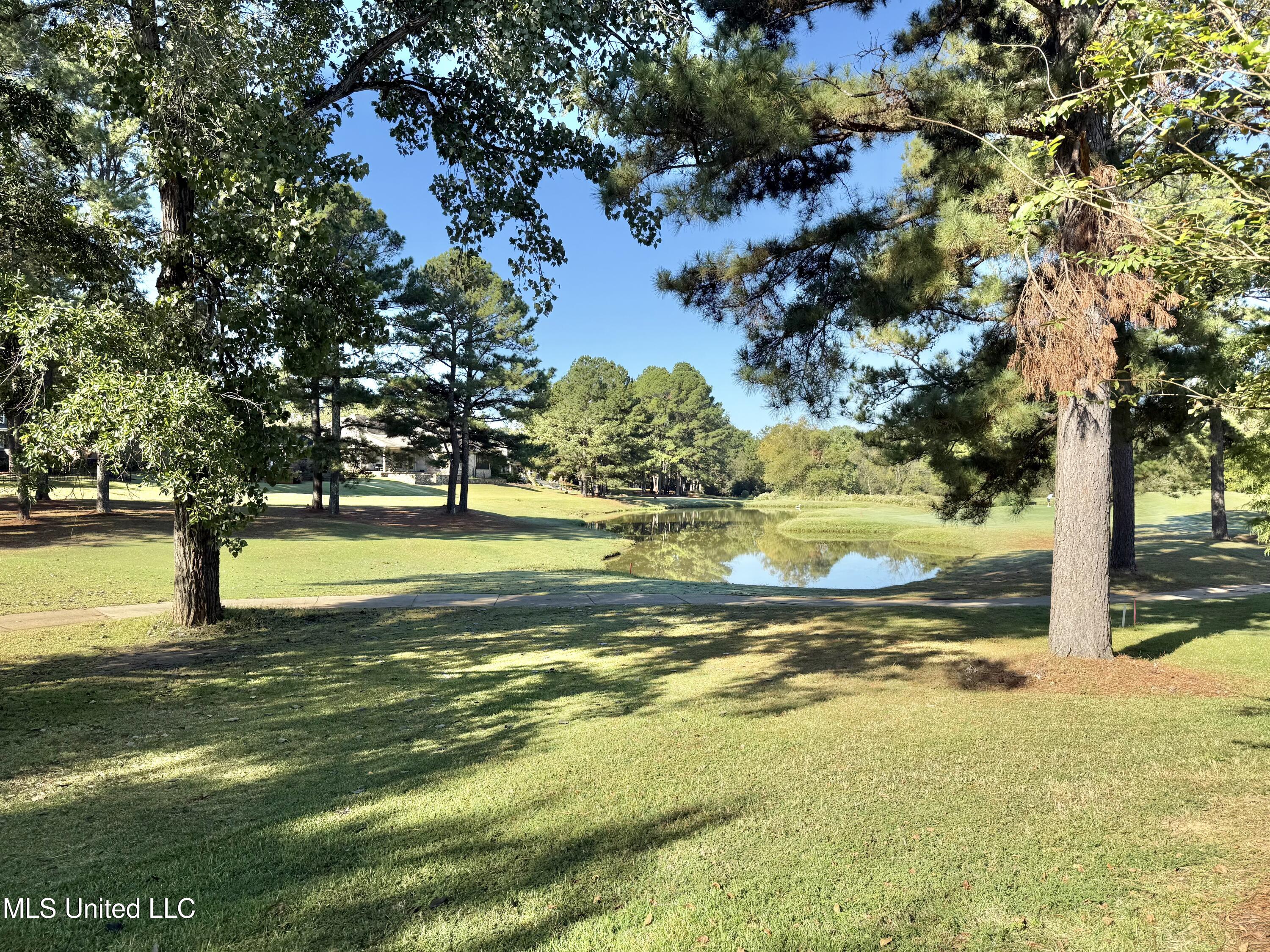 493 Annandale Parkway Property Photo 35