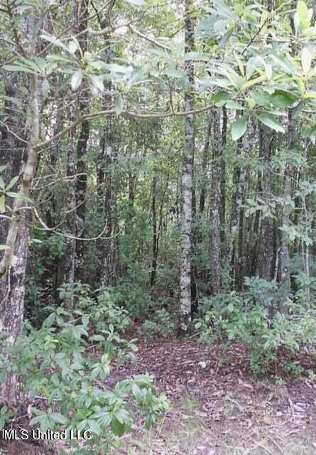 19144 Cemetery Road Property Photo 3