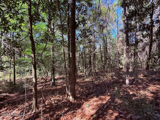 427 Ginntown Road Property Photo 3