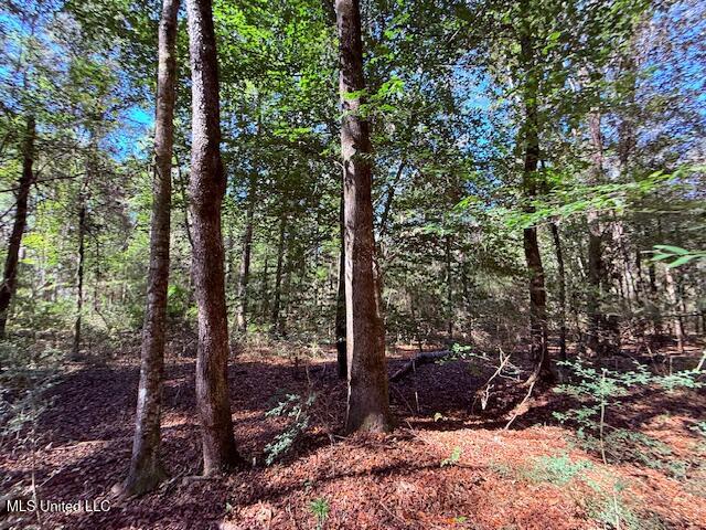 427 Ginntown Road Property Photo 4