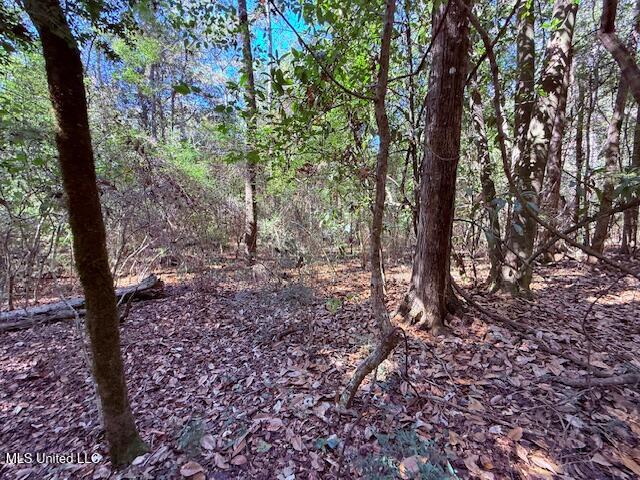 427 Ginntown Road Property Photo 5