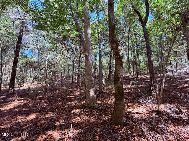 427 Ginntown Road Property Photo 6