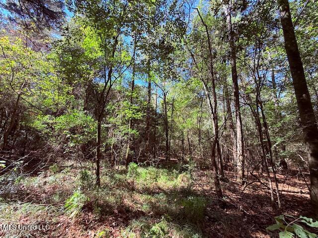 427 Ginntown Road Property Photo 7