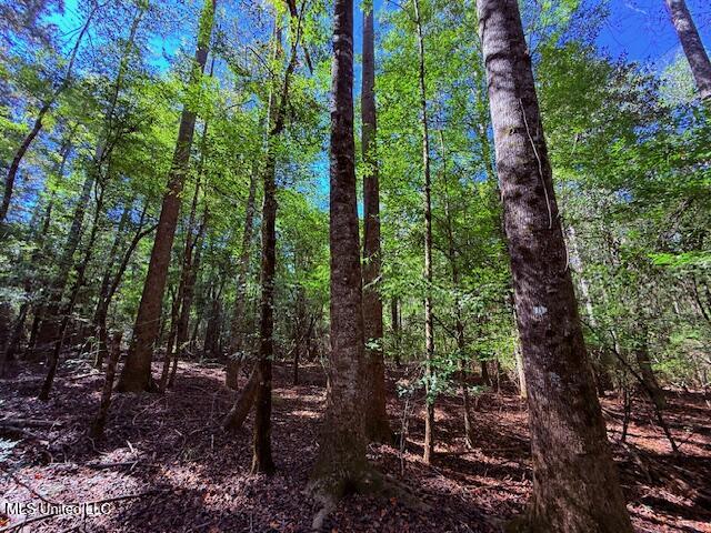 427 Ginntown Road Property Photo 8