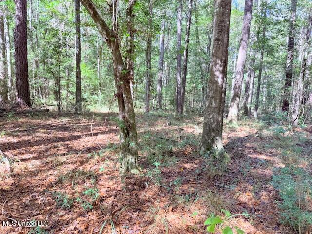 427 Ginntown Road Property Photo 9