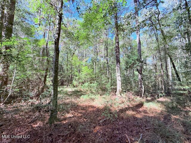 427 Ginntown Road Property Photo 10