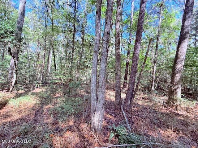 427 Ginntown Road Property Photo 11