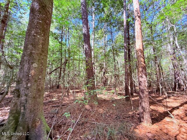 427 Ginntown Road Property Photo 12