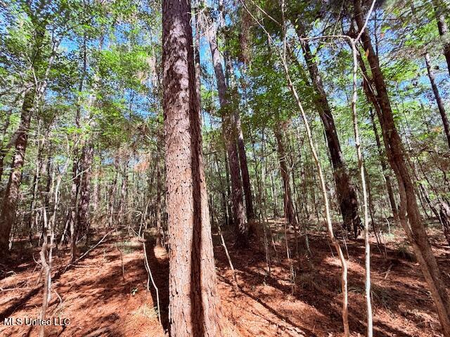 427 Ginntown Road Property Photo 13