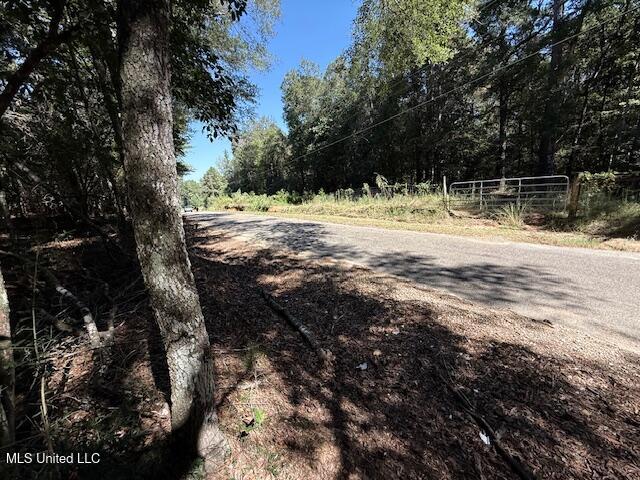 427 Ginntown Road Property Photo 17