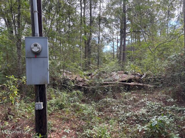 14832 Hillside Drive Property Photo 12