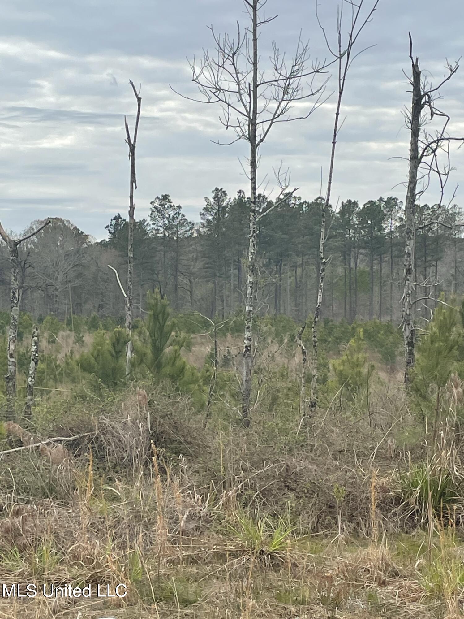 Co Rd 419 Property Photo 2