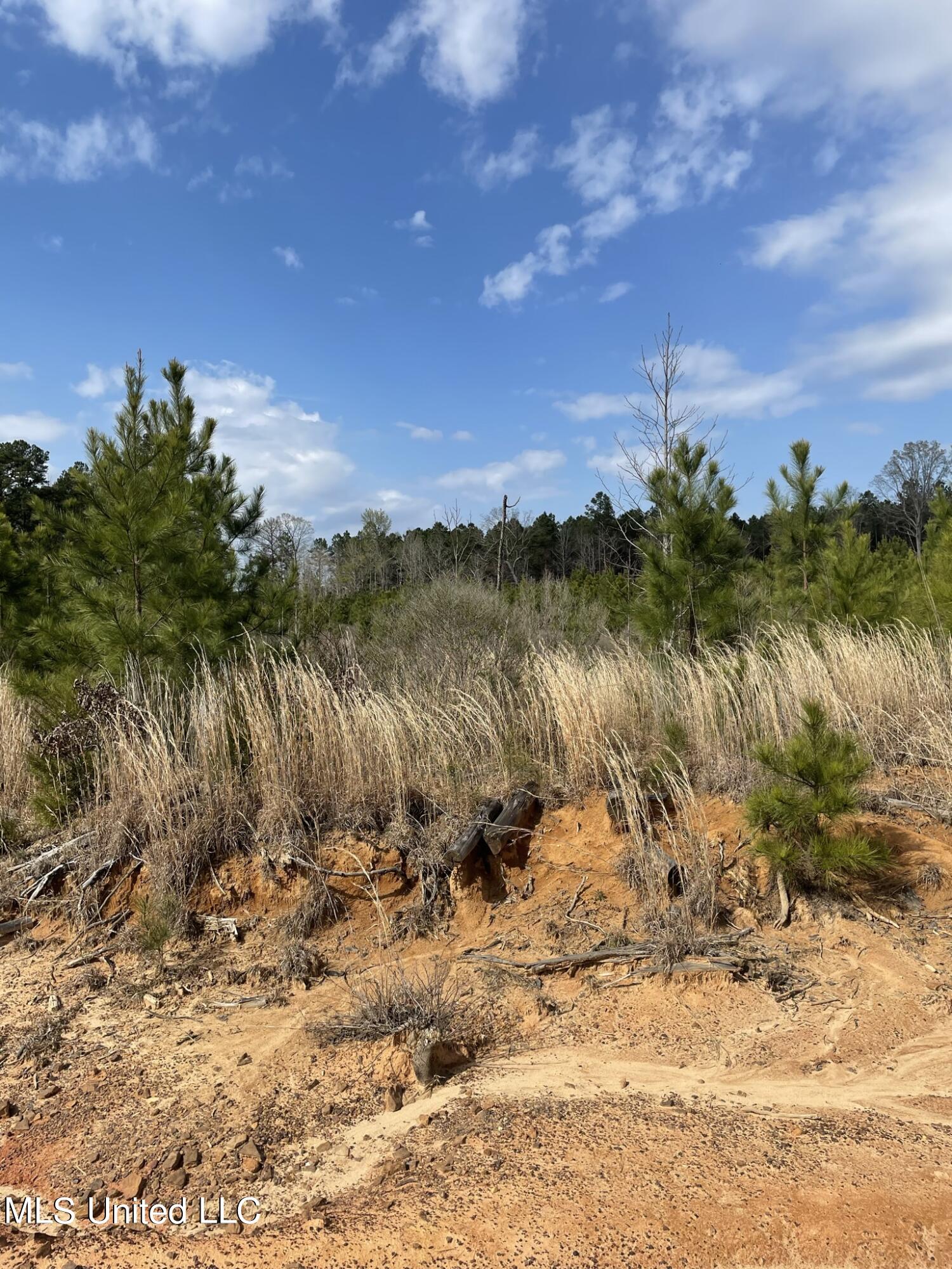 Co Rd 419 Property Photo 3