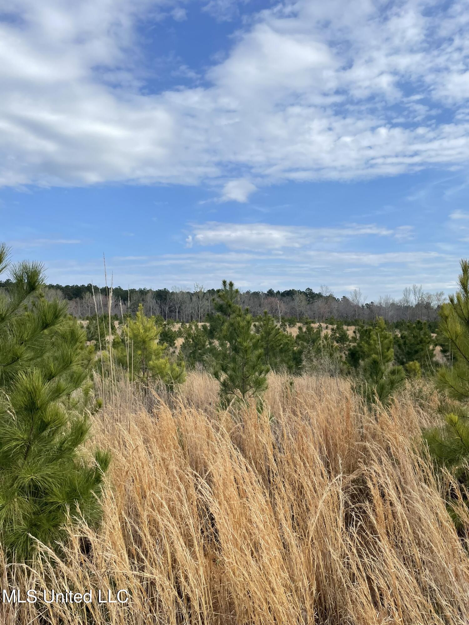 Co Rd 419 Property Photo 4