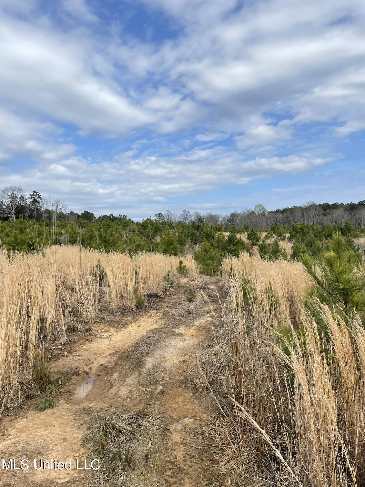 Co Rd 419 Property Photo 5