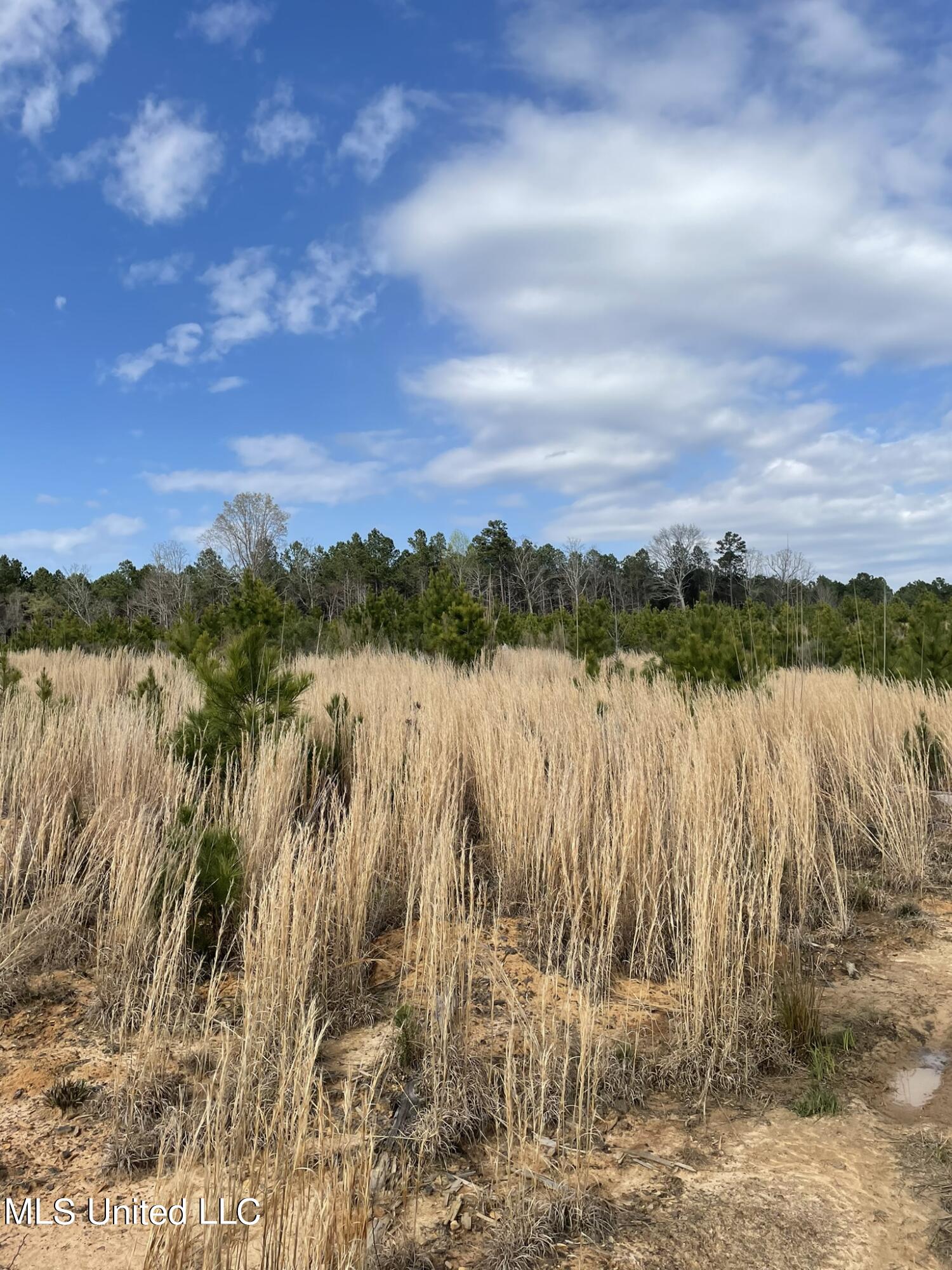 Co Rd 419 Property Photo 6