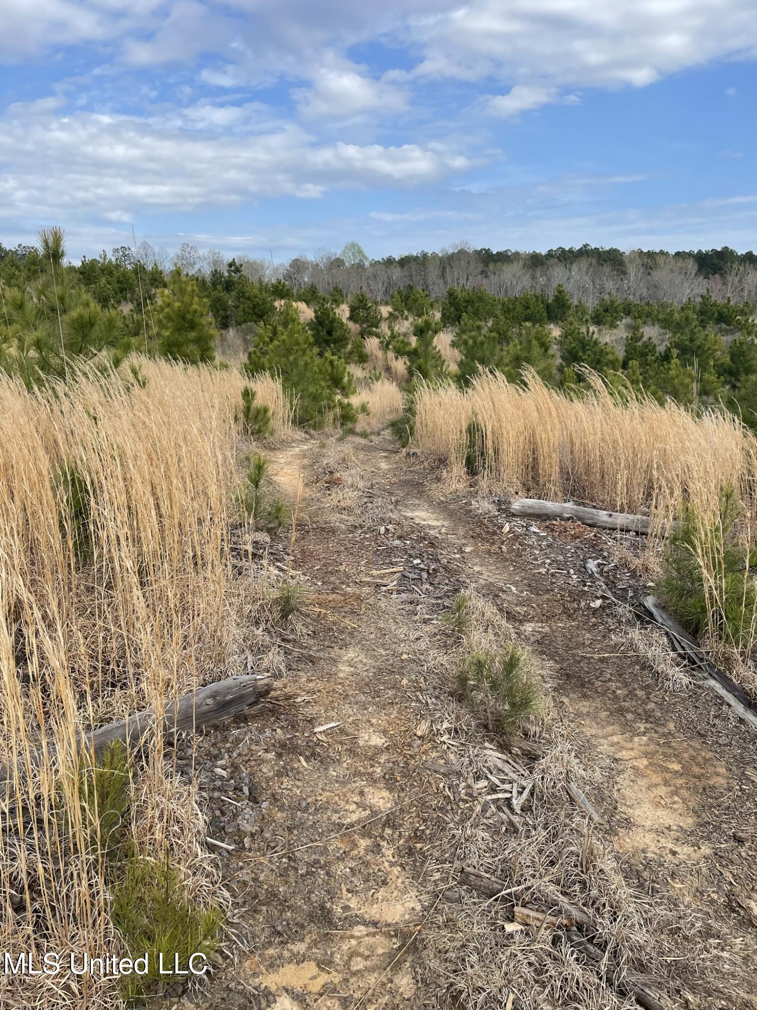 Co Rd 419 Property Photo 7