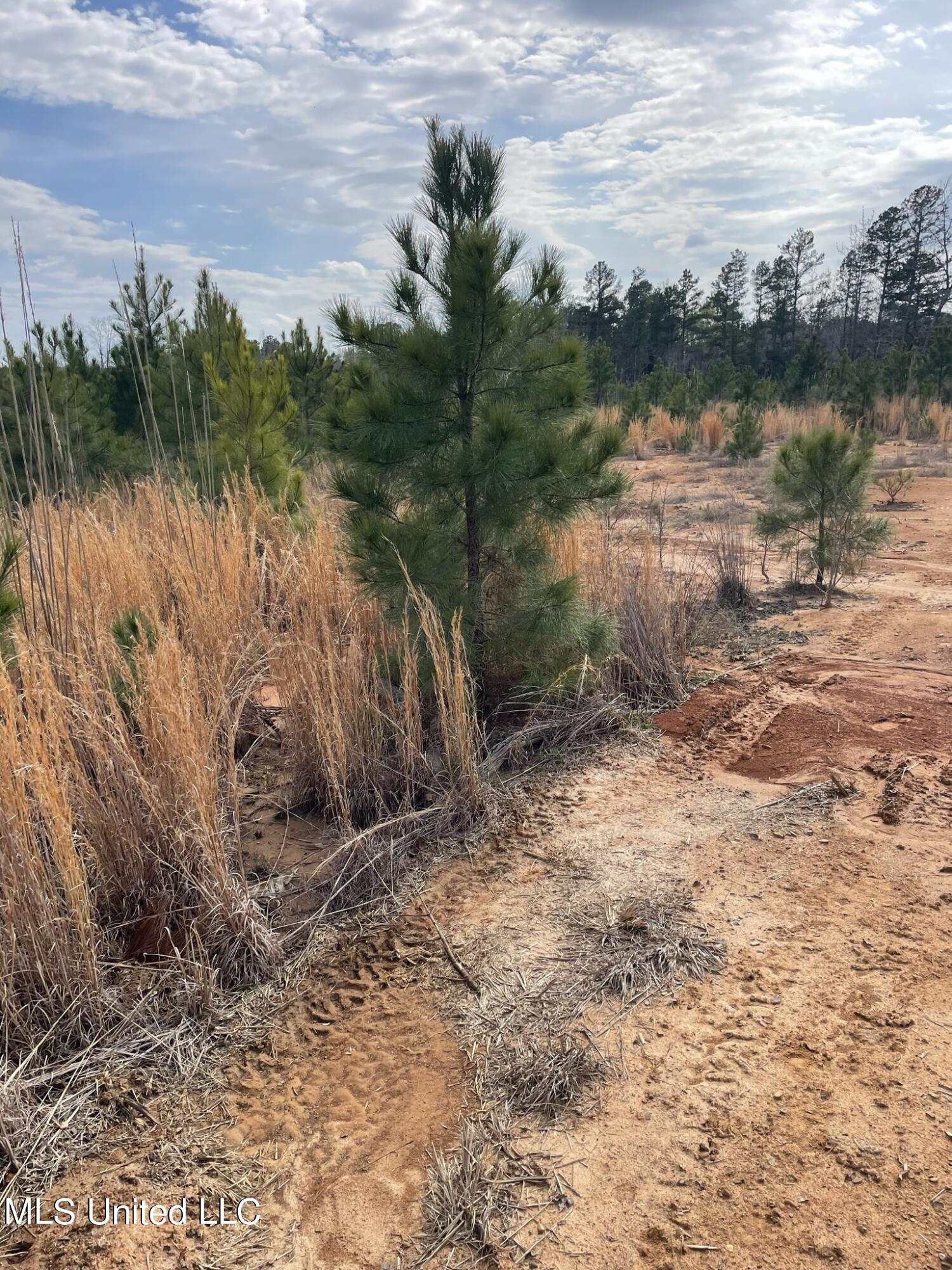 Co Rd 419 Property Photo 9