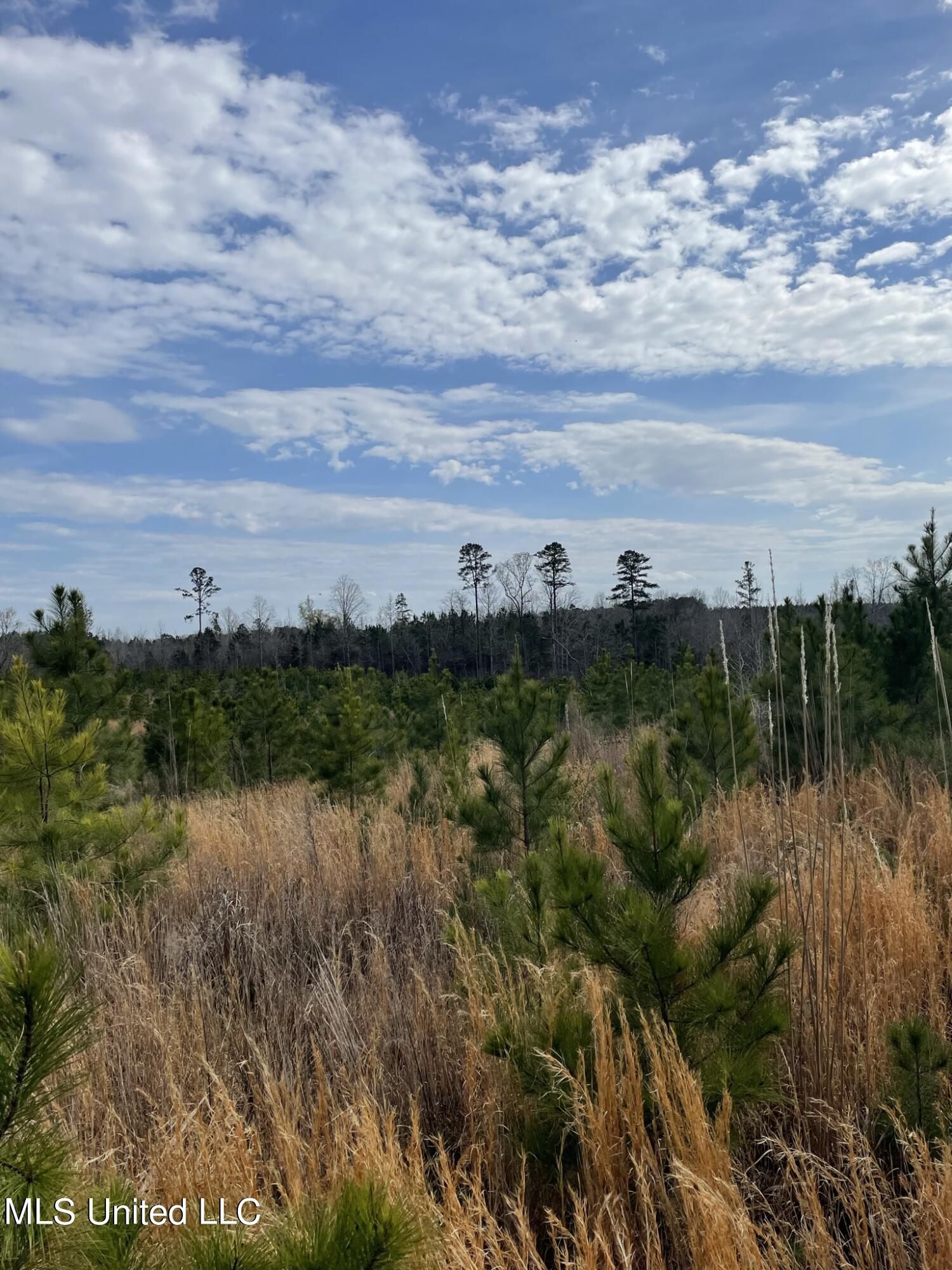 Co Rd 419 Property Photo 10