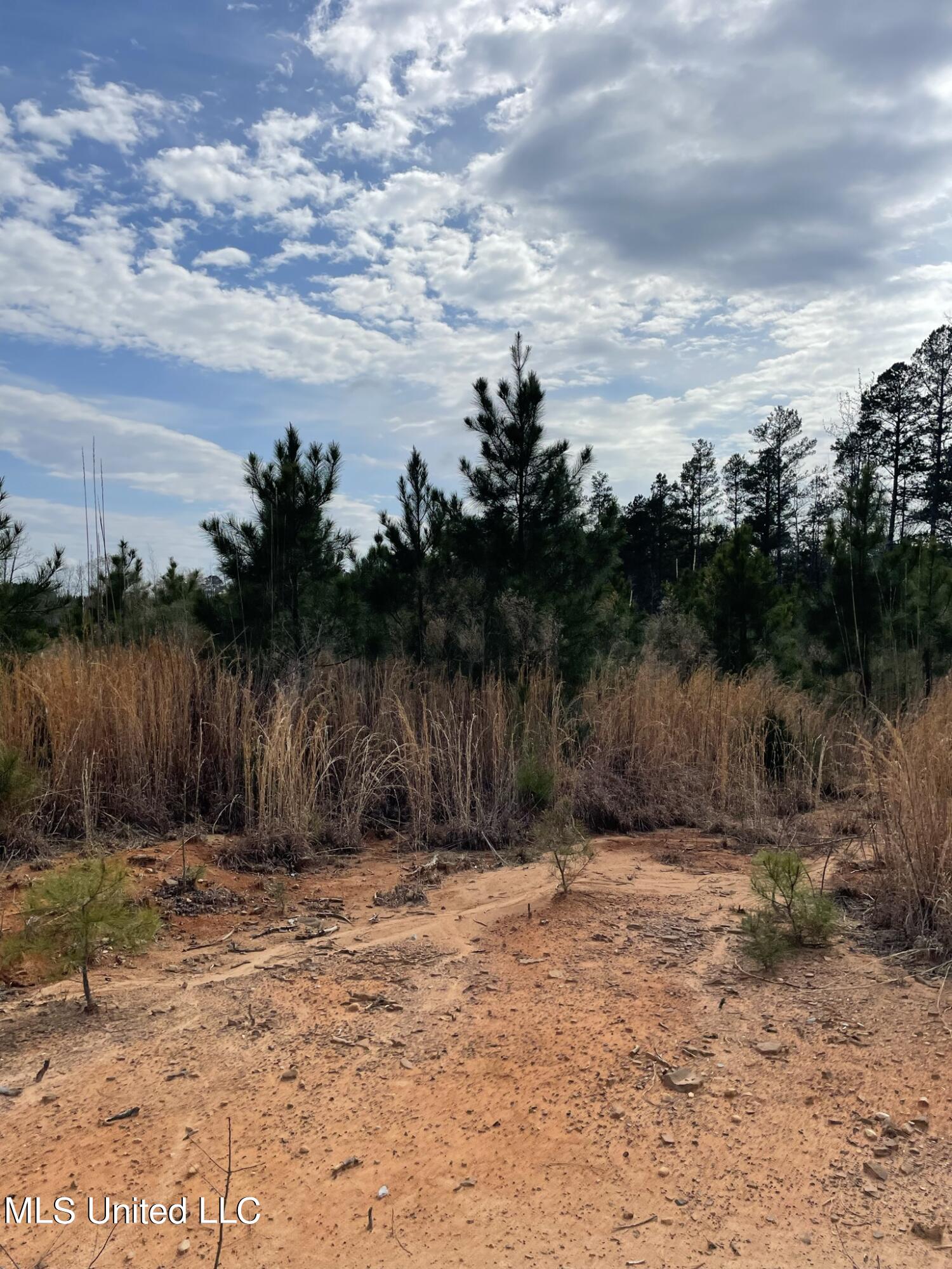 Co Rd 419 Property Photo 11