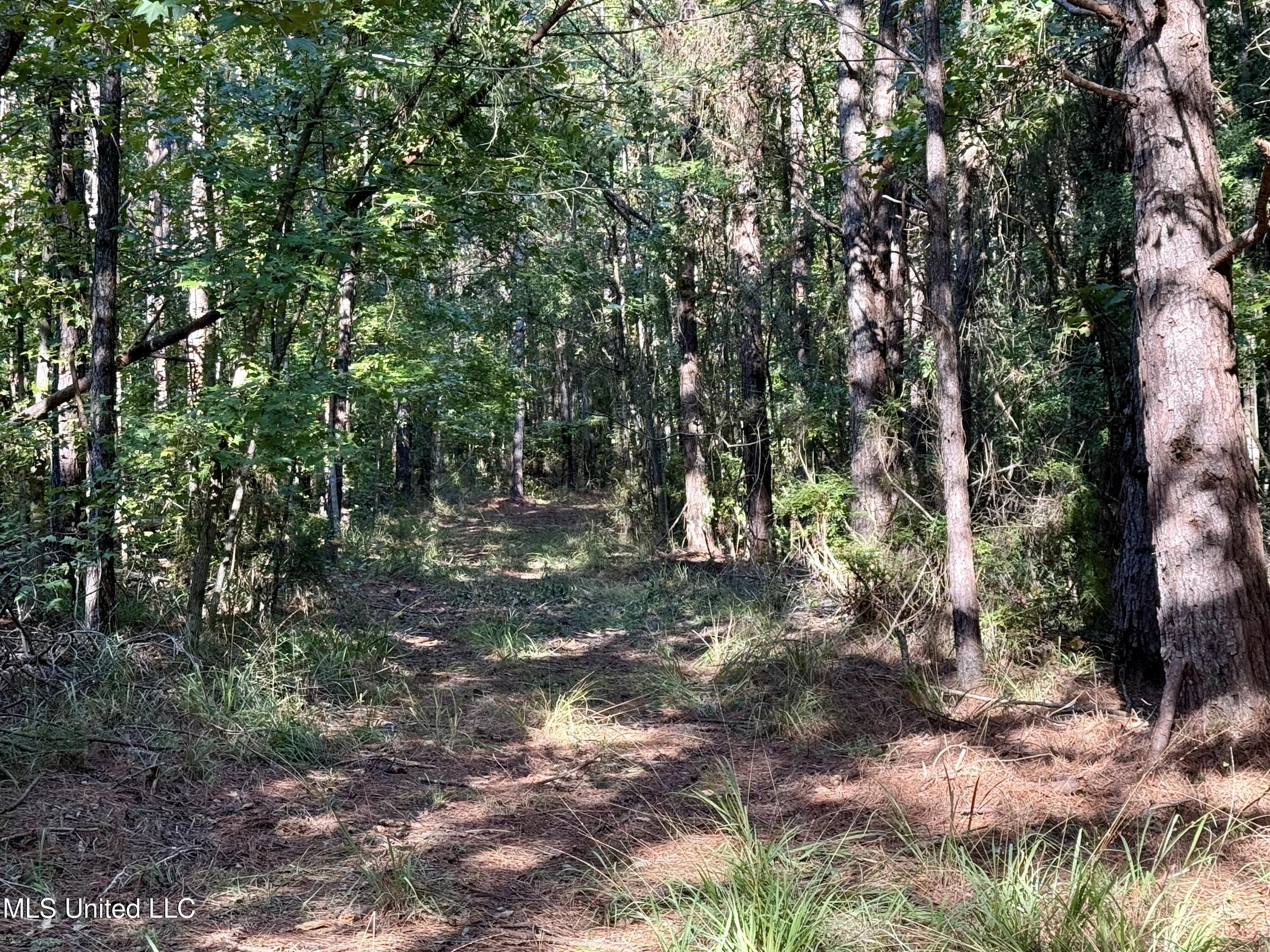 47 Mose Hilliard Road Property Photo 4