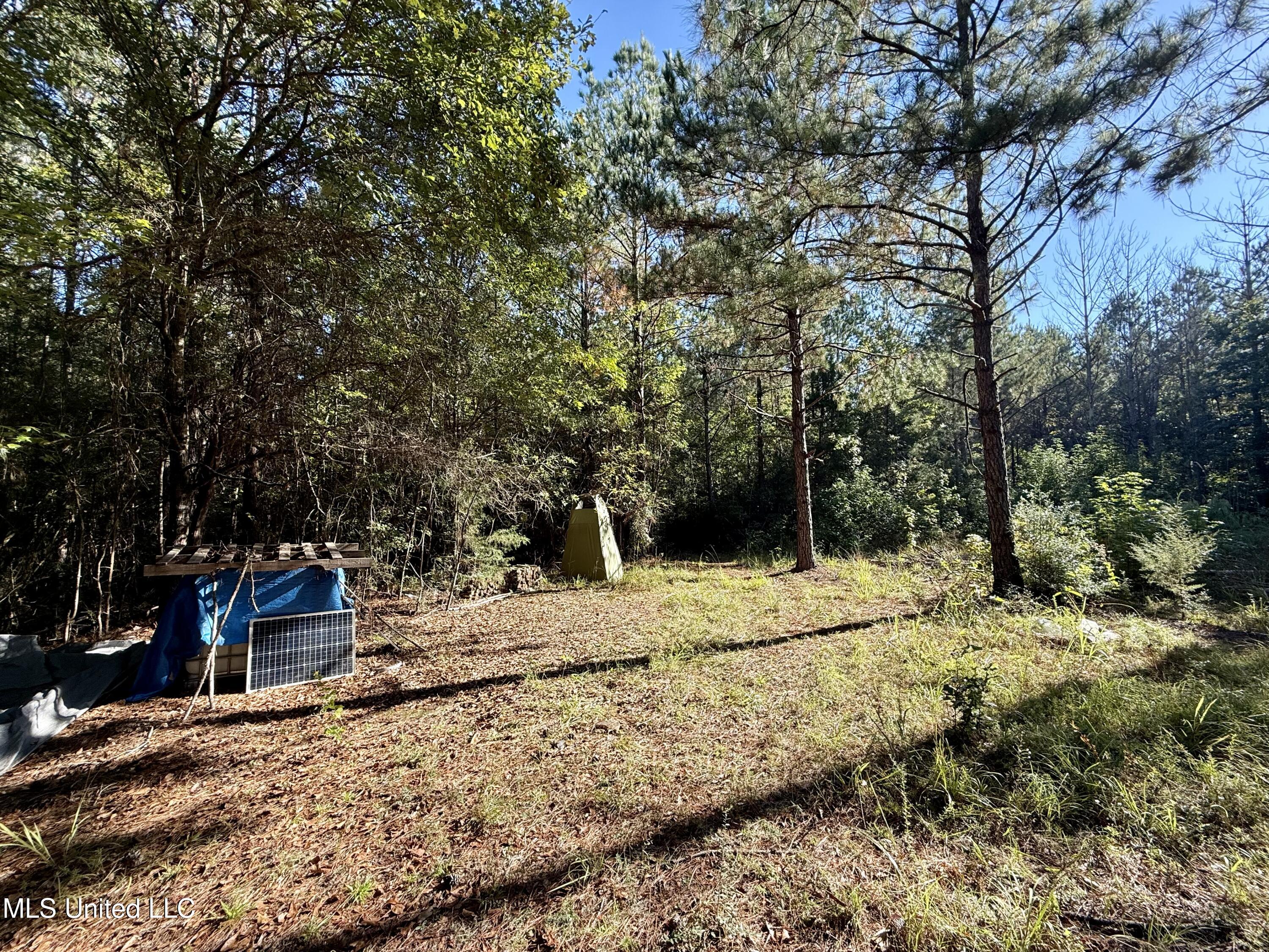 47 Mose Hilliard Road Property Photo 5