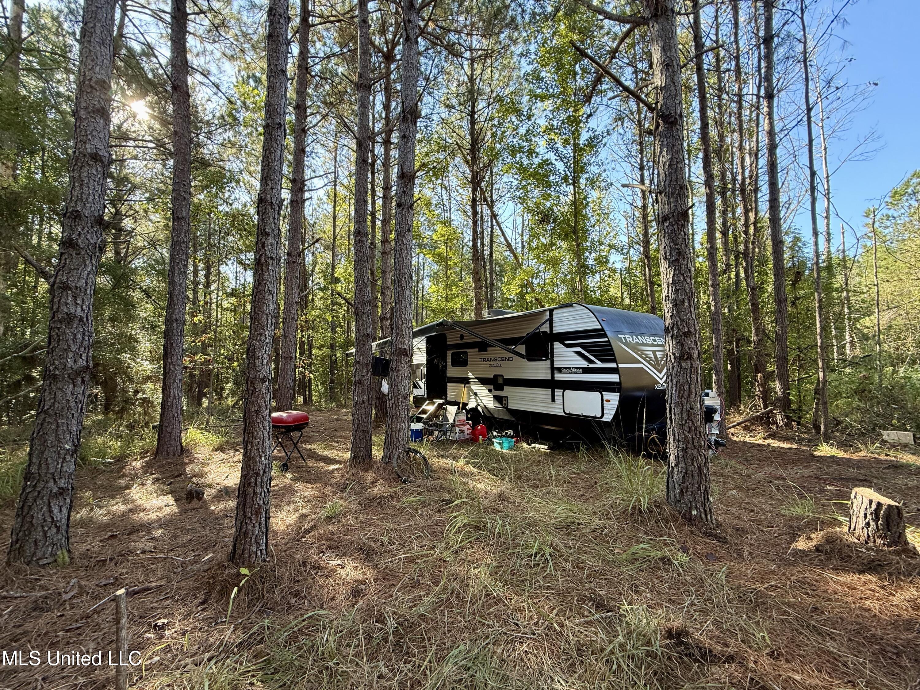 47 Mose Hilliard Road Property Photo 8