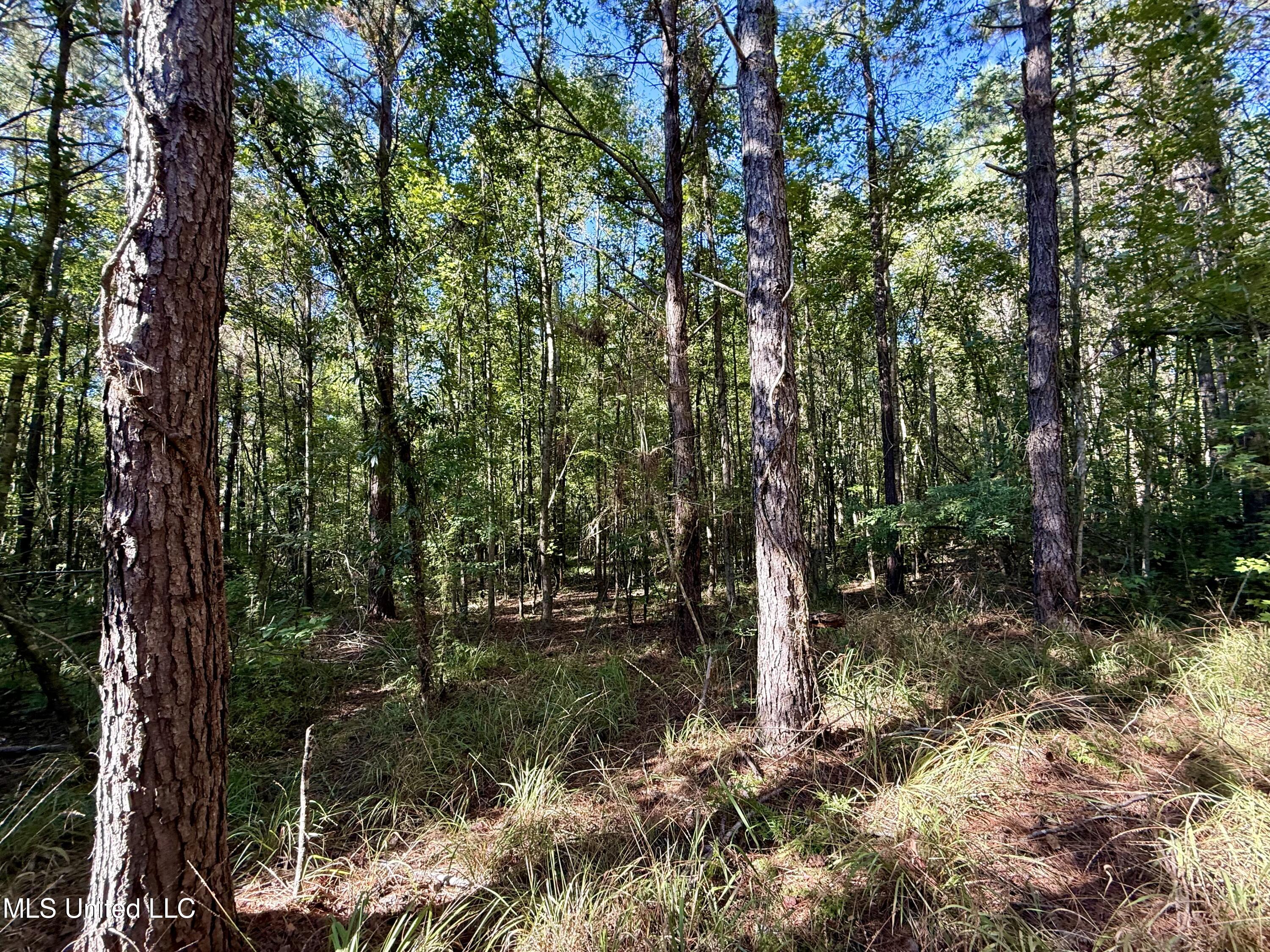 47 Mose Hilliard Road Property Photo 12