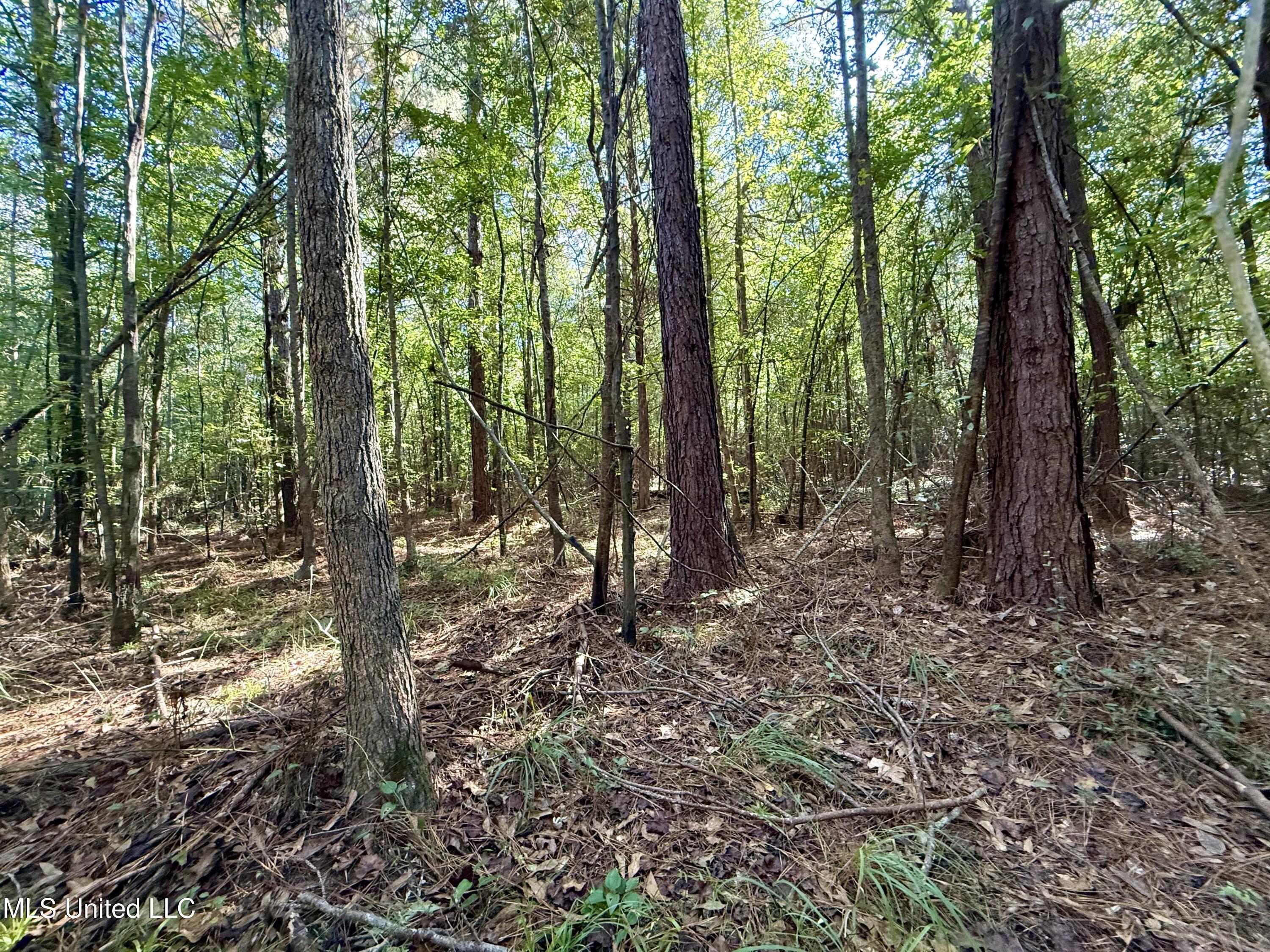 47 Mose Hilliard Road Property Photo 14