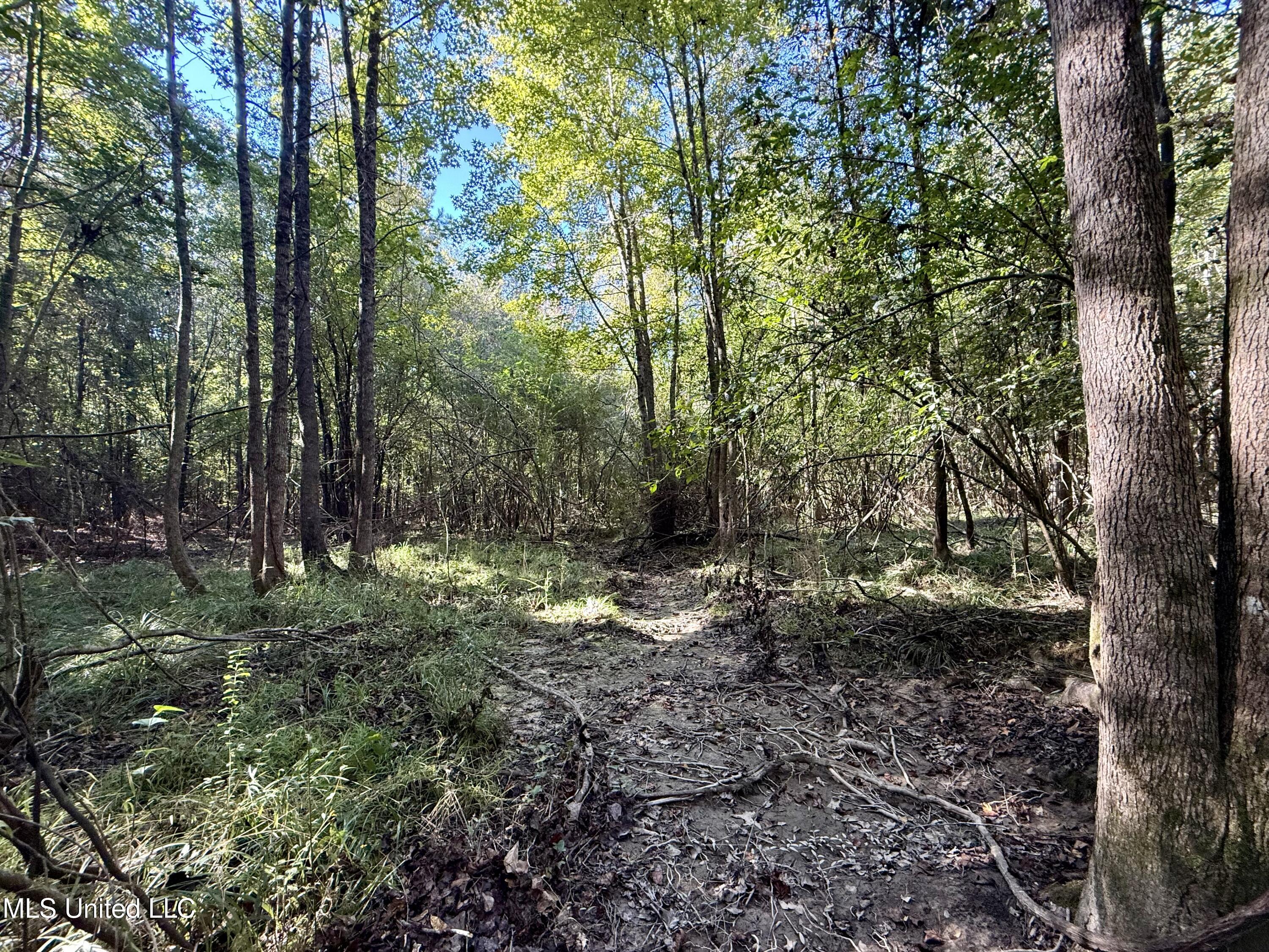 47 Mose Hilliard Road Property Photo 17