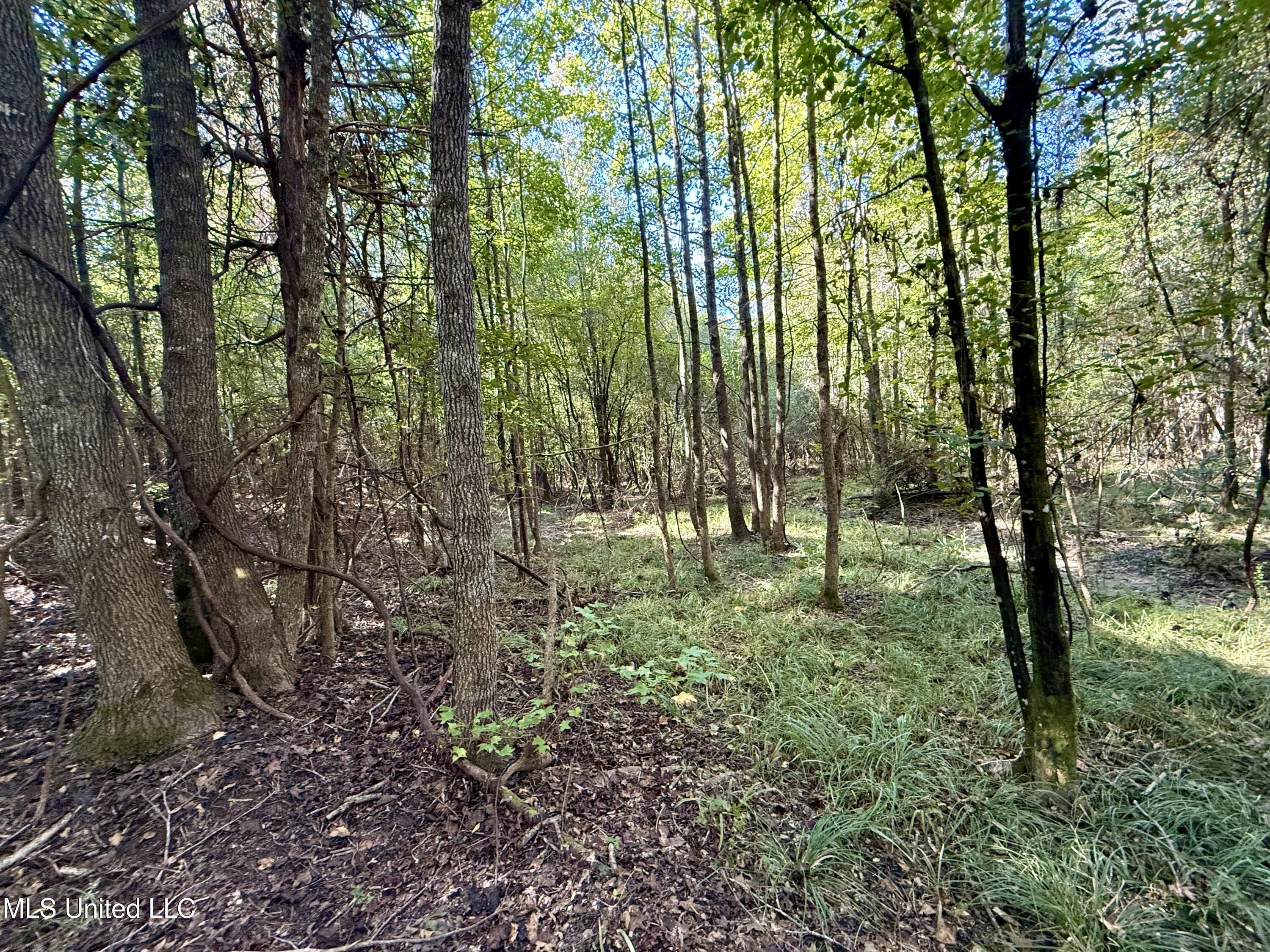 47 Mose Hilliard Road Property Photo 18