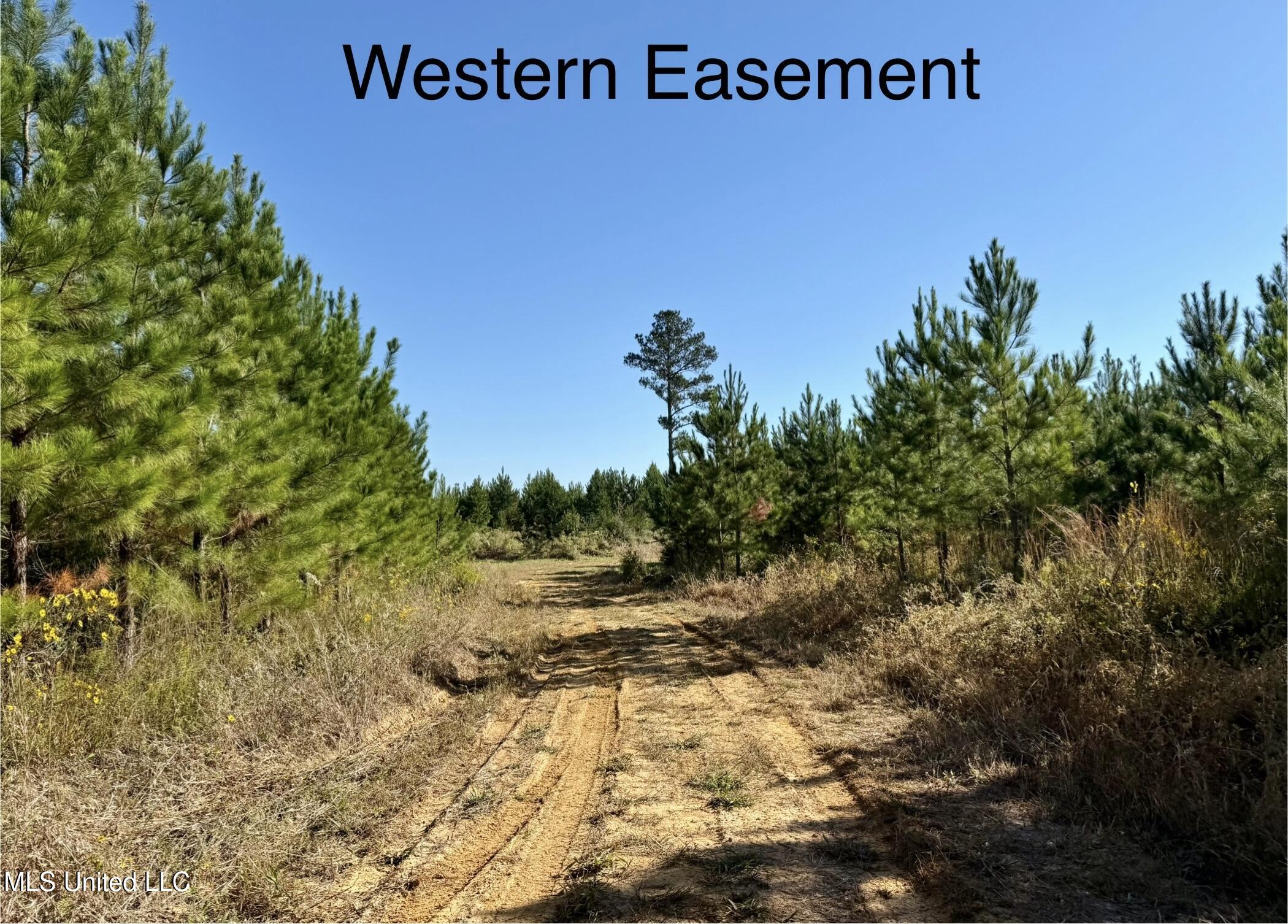 47 Mose Hilliard Road Property Photo 19