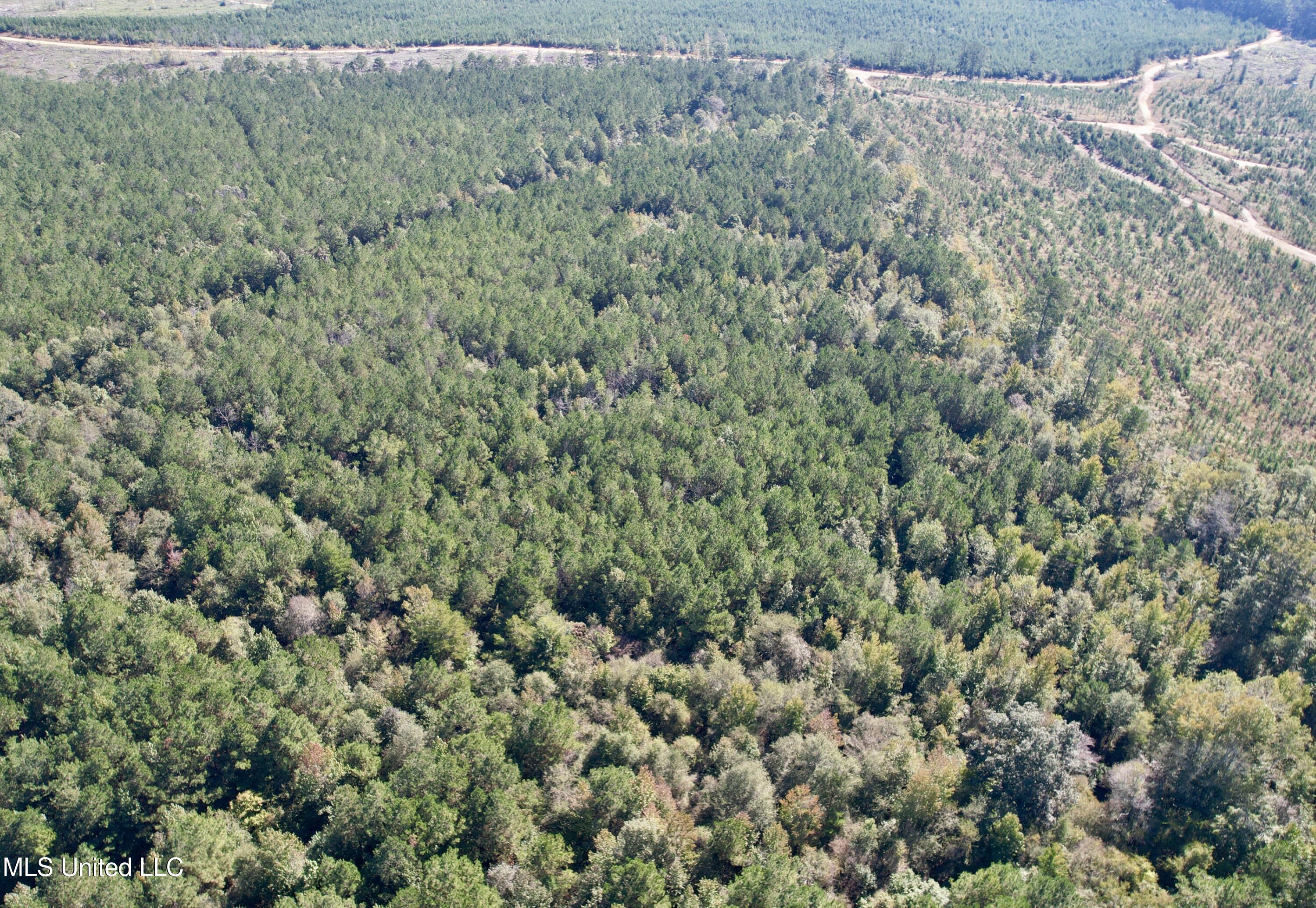 47 Mose Hilliard Road Property Photo 20