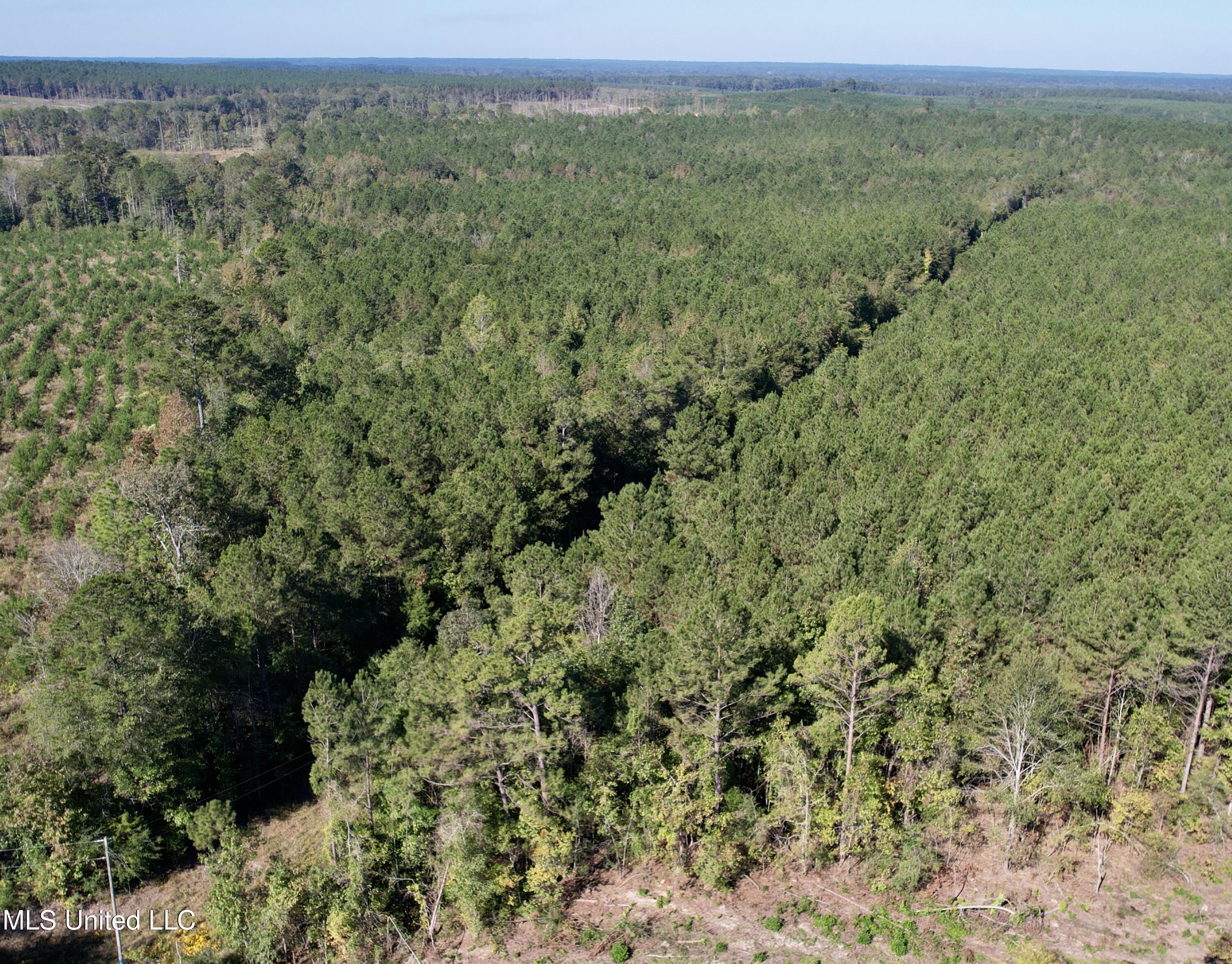 47 Mose Hilliard Road Property Photo 21