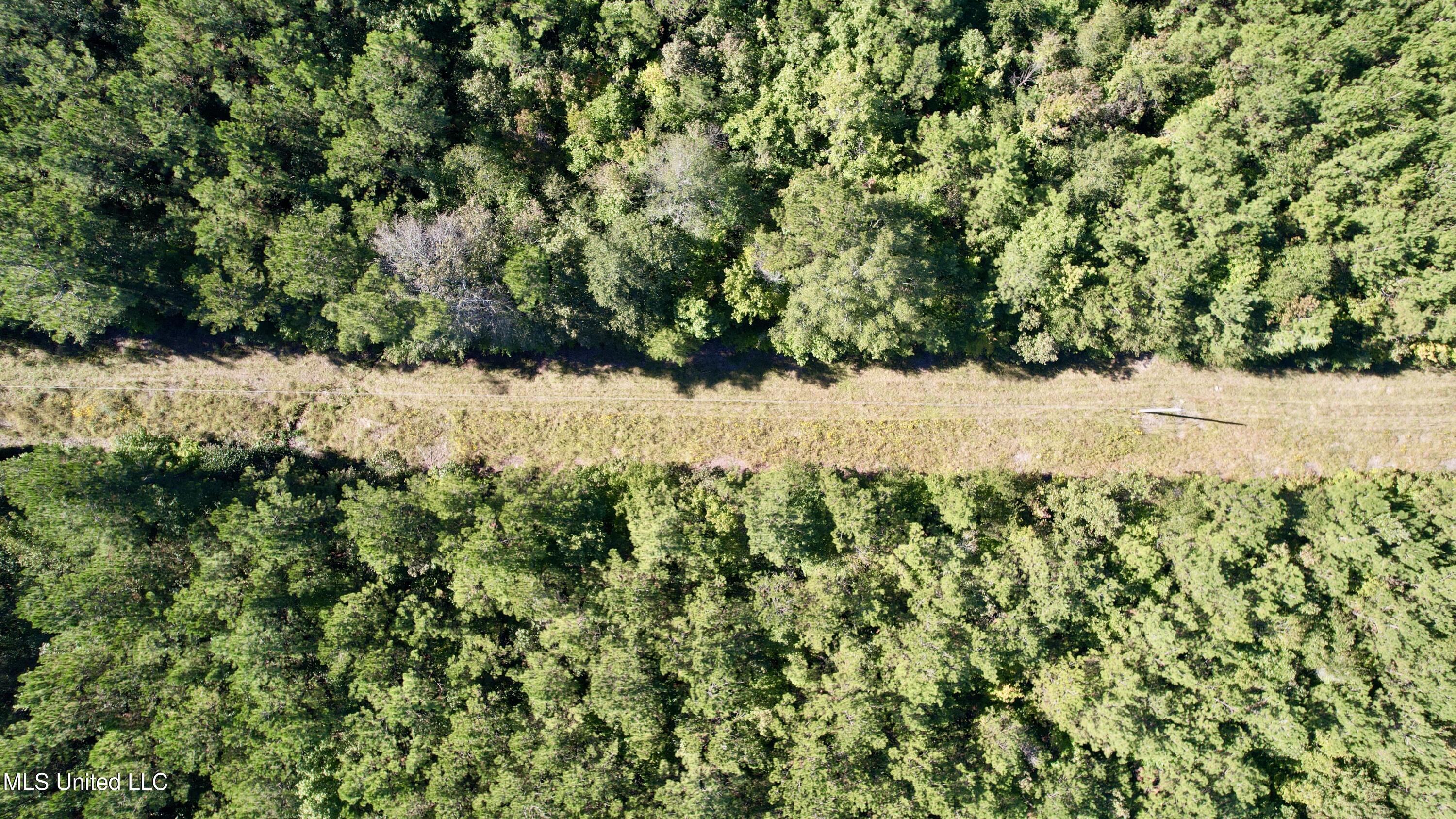 47 Mose Hilliard Road Property Photo 22