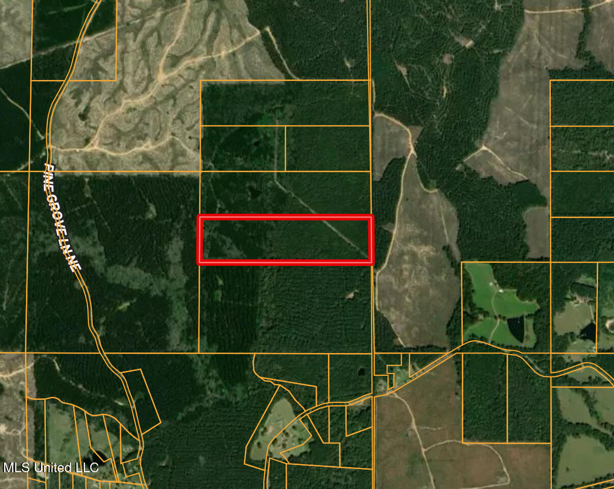 47 Mose Hilliard Road Property Photo 24