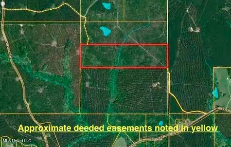 47 Mose Hilliard Road Property Photo 25