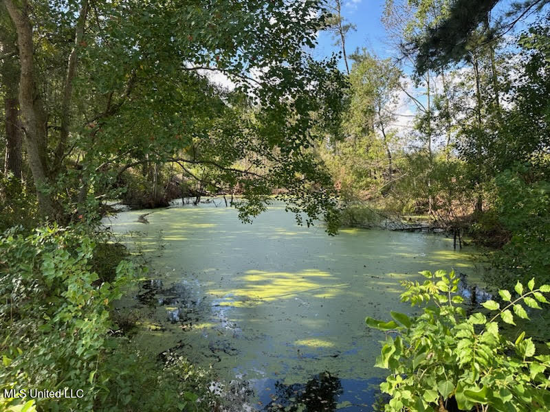 32 Acres Mol Garner Road Property Photo 1