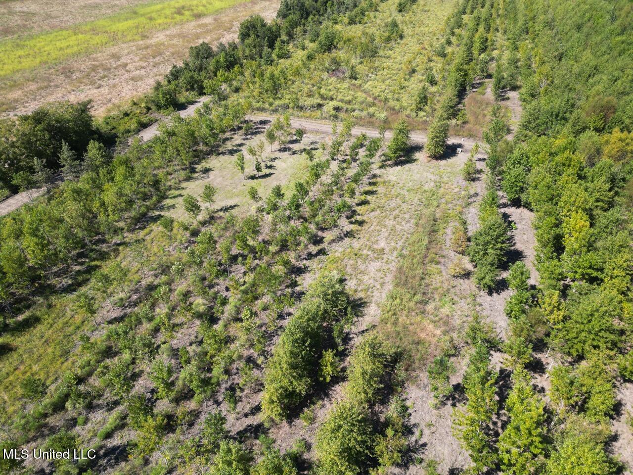 1195 Highway 570 Property Photo 3